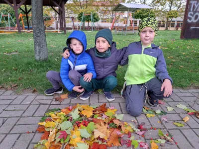 20251017 123549 resized